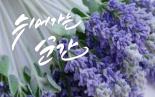 [2017/03] 쉬어가는 순간 25회 <서울 속 이색 야시장 외>