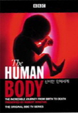 신비한 인체세계 : BBC 과학다큐스페셜(KBS방영 화제작 방영제목:'인체대탐험')